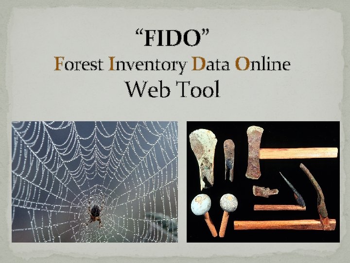 “FIDO” Forest Inventory Data Online Web Tool “FIDO” Forest Inventory Data Online Web Tool