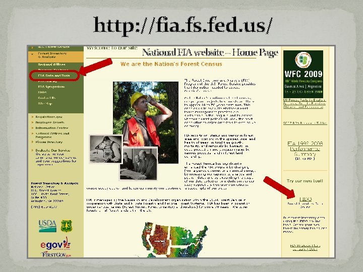 http: //fia. fs. fed. us/ National FIA website – Home Page http: //fia. fs. fed. us/ National FIA website – Home Page