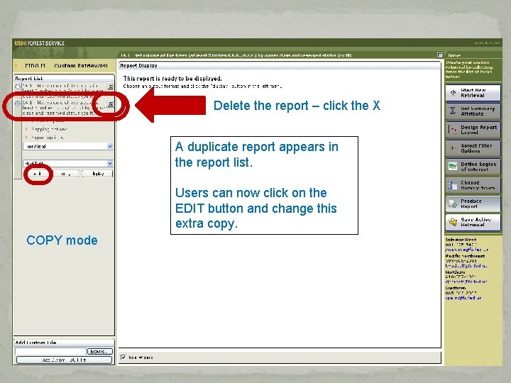Delete the report – click the X A duplicate report appears in the report Delete the report – click the X A duplicate report appears in the report