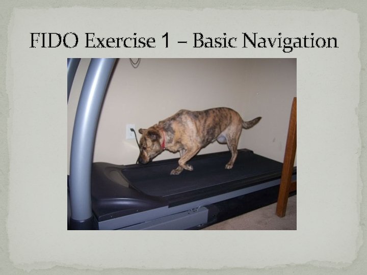 FIDO Exercise 1 – Basic Navigation FIDO Exercise 1 – Basic Navigation