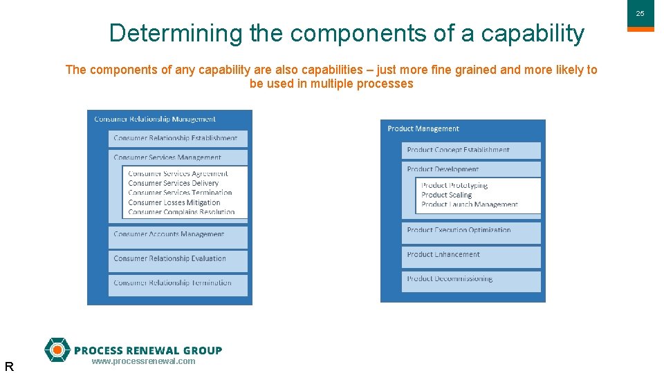 2525 Determining the components of a capability The components of any capability are also