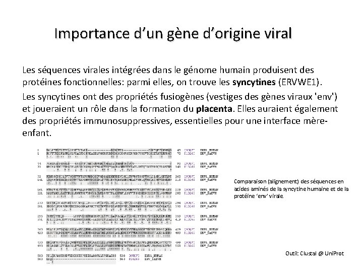 Importance d’un gène d’origine viral Les séquences virales intégrées dans le génome humain produisent