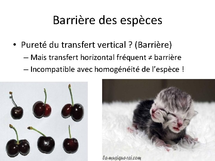 Barrière des espèces • Pureté du transfert vertical ? (Barrière) – Mais transfert horizontal