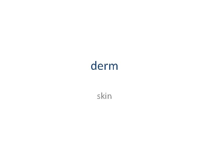 derm skin 