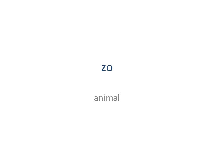 zo animal 
