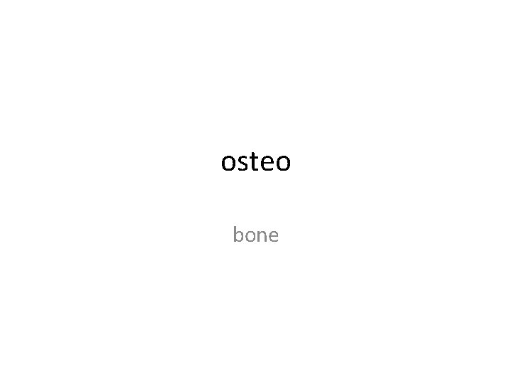 osteo bone 