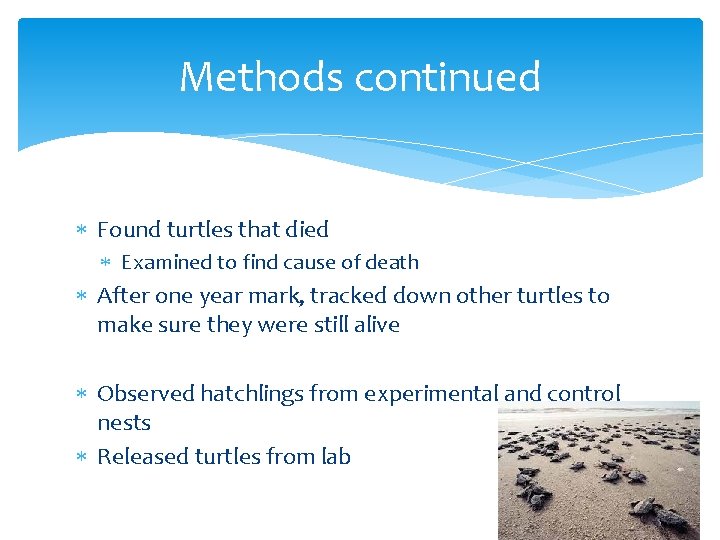 Methods continued Found turtles that died Examined to find cause of death After one