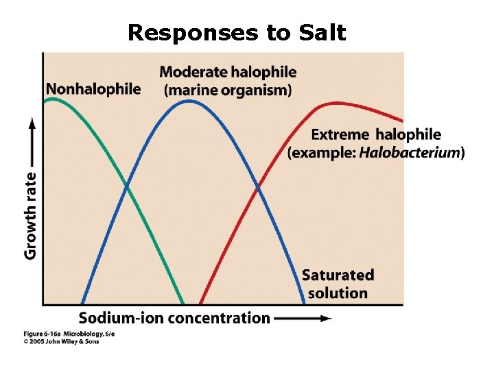 Responses to Salt 