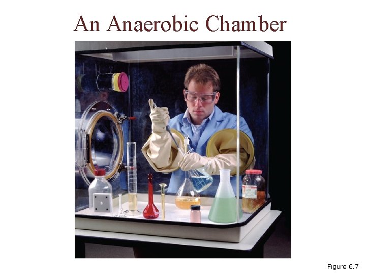 An Anaerobic Chamber Figure 6. 7 