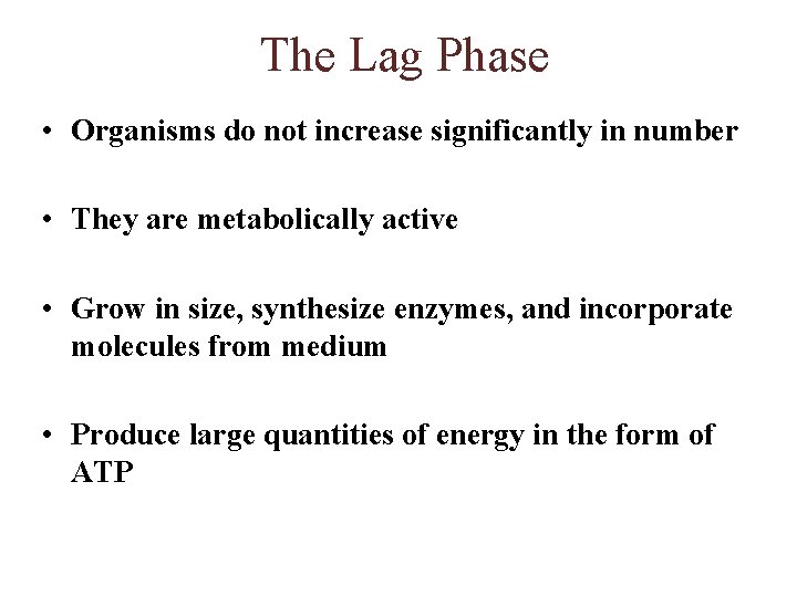 The Lag Phase • Organisms do not increase significantly in number • They are