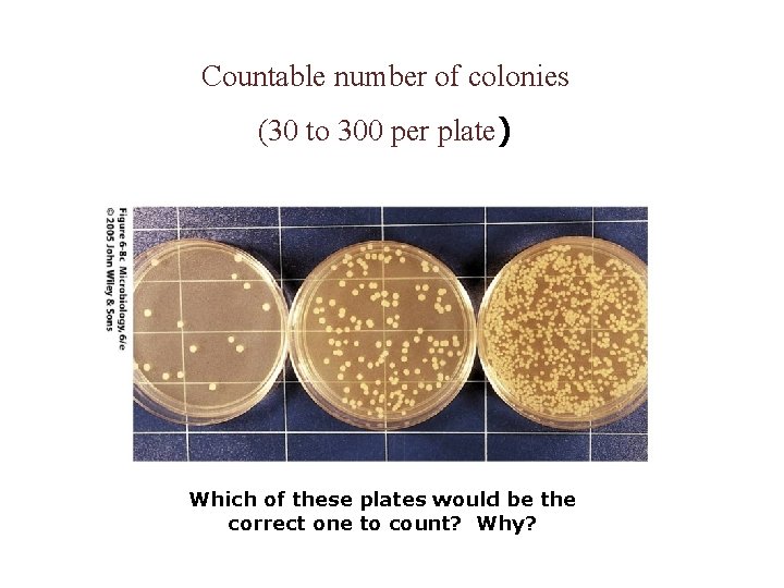 Countable number of colonies (30 to 300 per plate) Which of these plates would