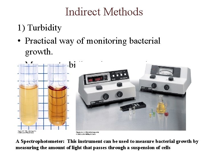 Indirect Methods 1) Turbidity • Practical way of monitoring bacterial growth. • Measure turbidity