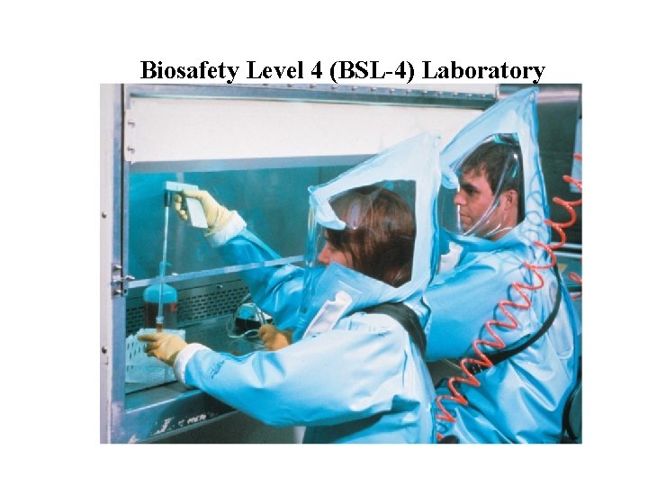 Biosafety Level 4 (BSL-4) Laboratory 