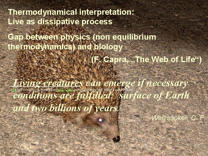 Thermodynamical interpretation: Live as dissipative process Gap between physics (non equilibrium thermodynamics) and biology