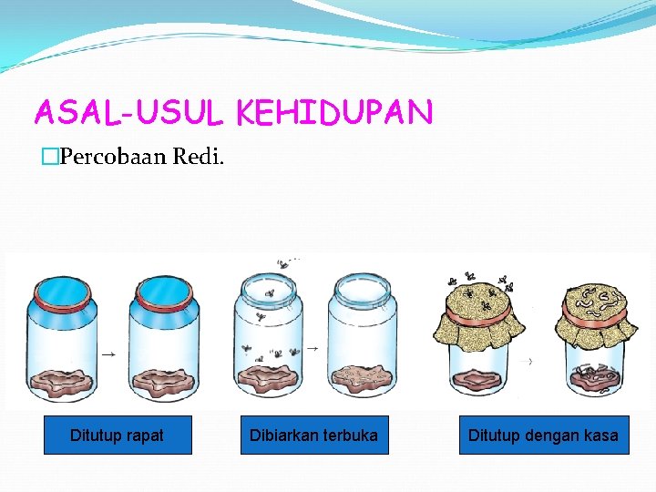 ASAL-USUL KEHIDUPAN �Percobaan Redi. Ditutup rapat Dibiarkan terbuka Ditutup dengan kasa 