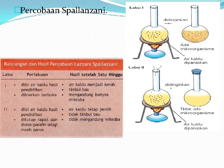 �Percobaan Spallanzani. 