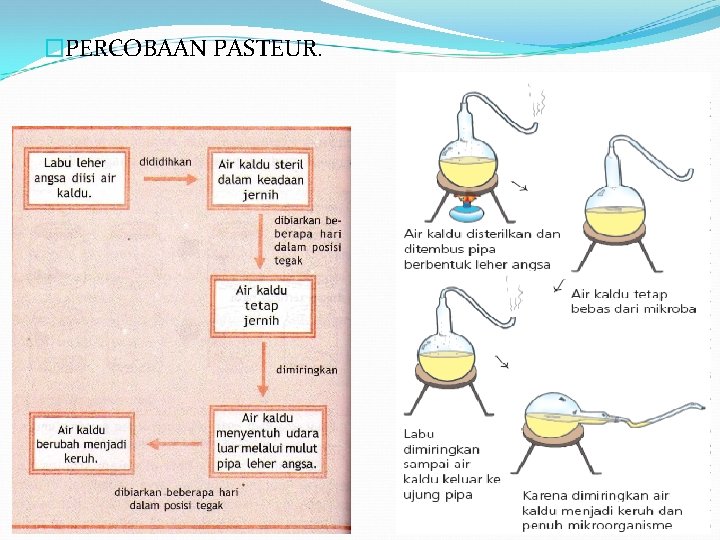 �PERCOBAAN PASTEUR. 