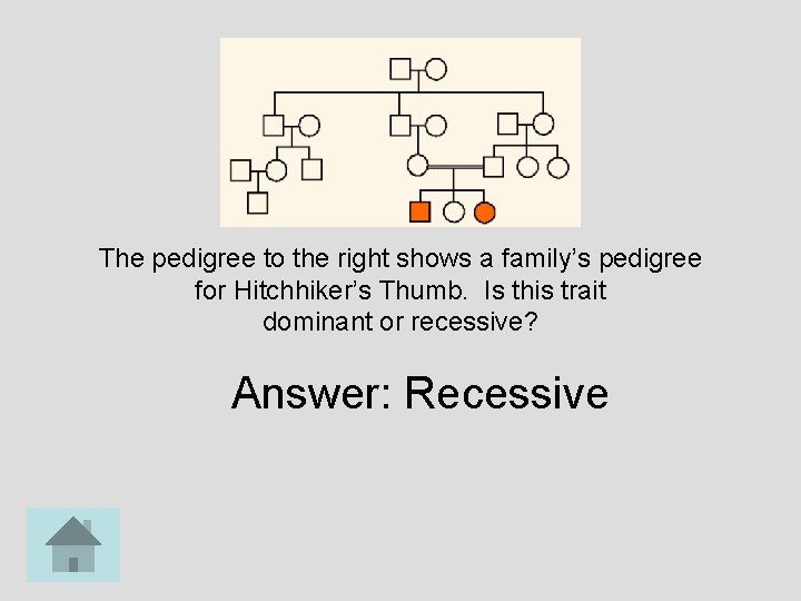 The pedigree to the right shows a family’s pedigree for Hitchhiker’s Thumb. Is this