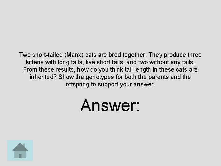 Two short-tailed (Manx) cats are bred together. They produce three kittens with long tails,
