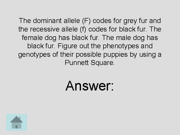 The dominant allele (F) codes for grey fur and the recessive allele (f) codes