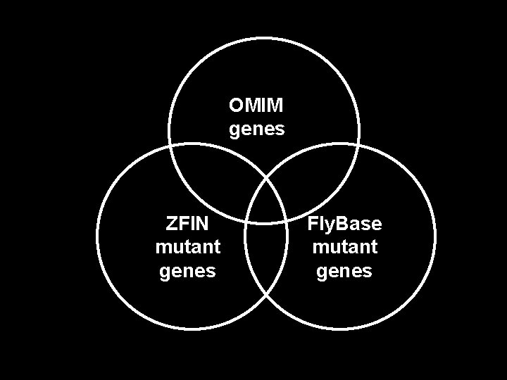 OMIM genes ZFIN mutant genes Fly. Base mutant genes 