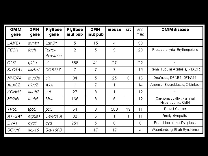 OMIM gene ZFIN gene LAMB 1 lamb 1 FECH Fly. Base gene Fly. Base