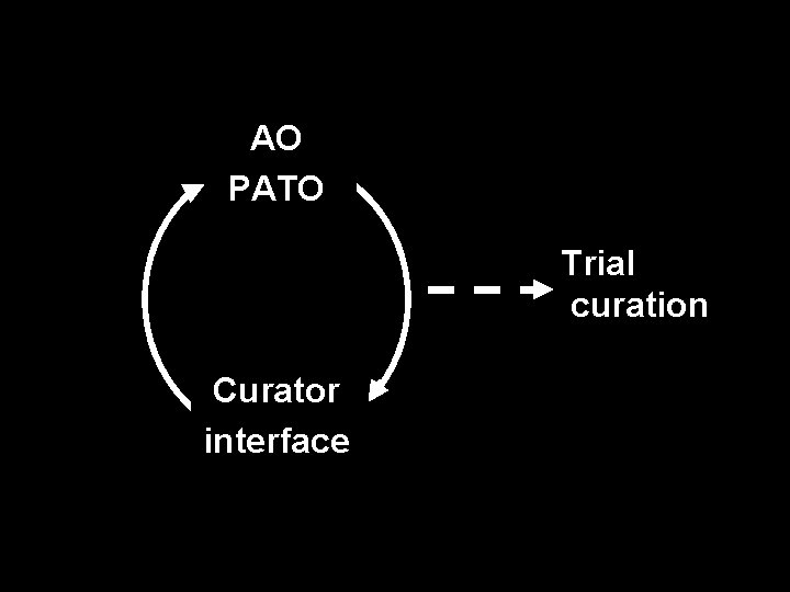AO PATO Trial curation Curator interface 