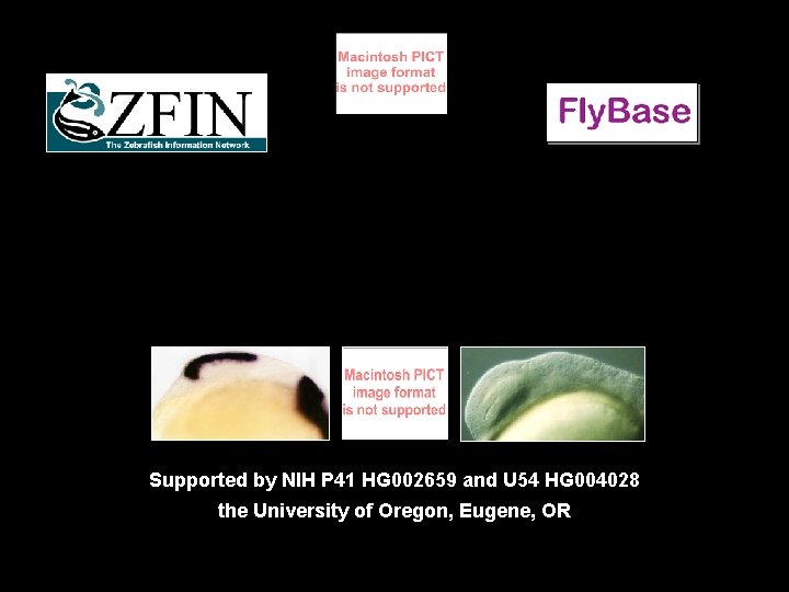 Supported by NIH P 41 HG 002659 and U 54 HG 004028 the University