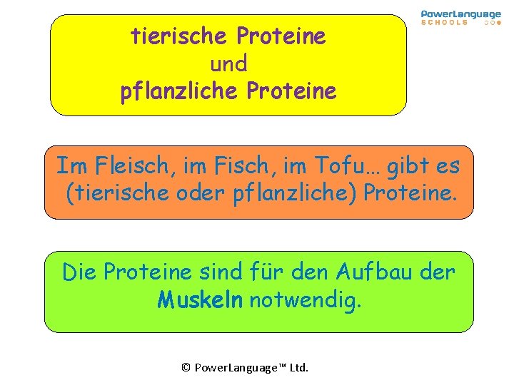 tierische Proteine und pflanzliche Proteine Im Fleisch, im Fisch, im Tofu… gibt es (tierische