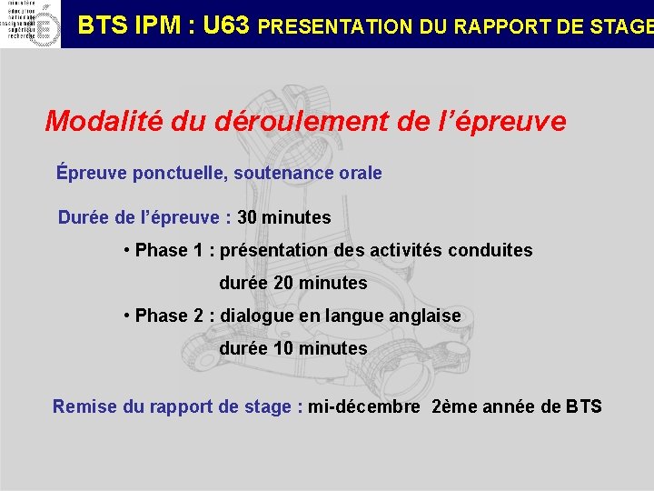 BTS IPM U 63 PRESENTATION DU RAPPORT DE