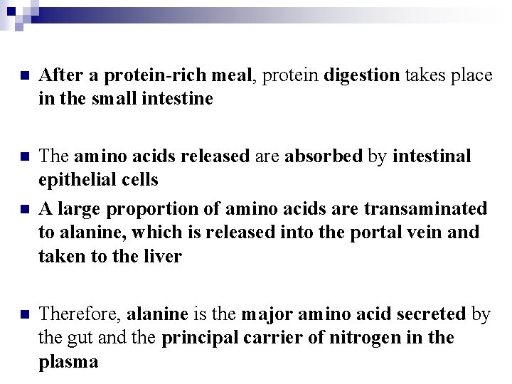 n After a protein-rich meal, protein digestion takes place in the small intestine n