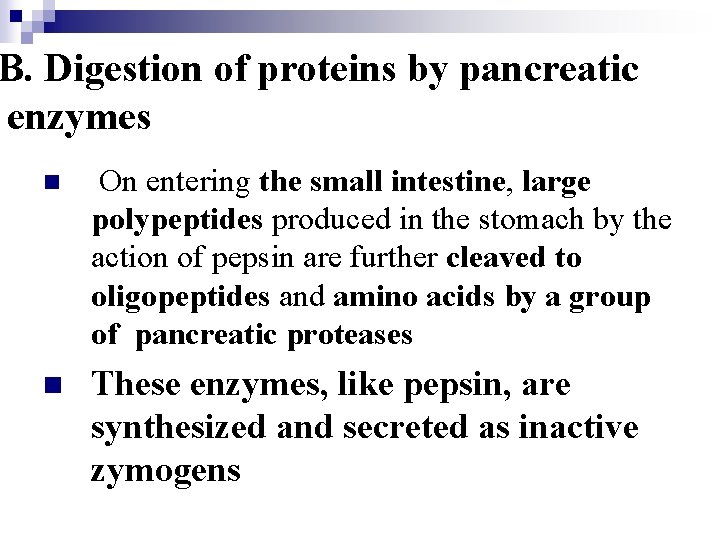 B. Digestion of proteins by pancreatic enzymes n On entering the small intestine, large