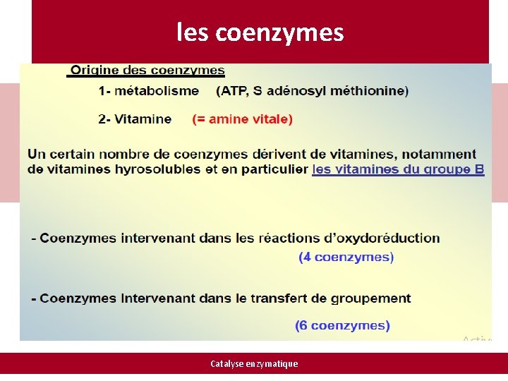 les coenzymes Catalyse enzymatique 