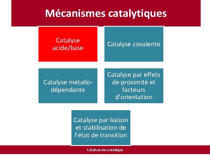 Mécanismes catalytiques Catalyse acide/base Catalyse covalente Catalyse métallodépendante Catalyse par effets de proximité et