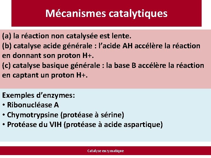Mécanismes catalytiques (a) la réaction non catalysée est lente. (b) catalyse acide générale :