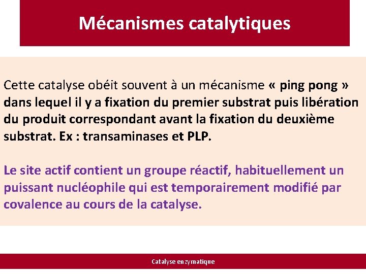 Mécanismes catalytiques Cette catalyse obéit souvent à un mécanisme « ping pong » dans