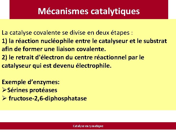 Mécanismes catalytiques La catalyse covalente se divise en deux étapes : 1) la réaction