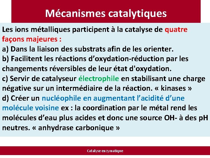 Mécanismes catalytiques Les ions métalliques participent à la catalyse de quatre façons majeures :