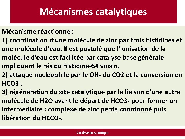 Mécanismes catalytiques Mécanisme réactionnel: 1) coordination d’une molécule de zinc par trois histidines et