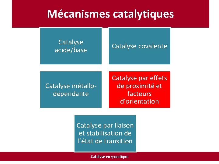 Mécanismes catalytiques Catalyse acide/base Catalyse covalente Catalyse métallodépendante Catalyse par effets de proximité et