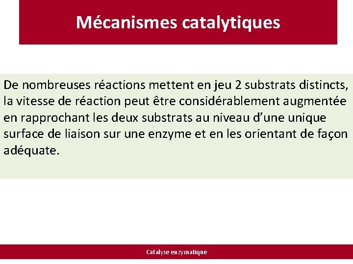 Mécanismes catalytiques De nombreuses réactions mettent en jeu 2 substrats distincts, la vitesse de