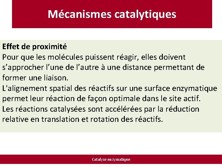 Mécanismes catalytiques Effet de proximité Pour que les molécules puissent réagir, elles doivent s’approcher