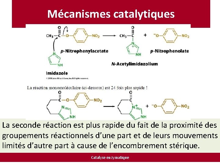 Mécanismes catalytiques La seconde réaction est plus rapide du fait de la proximité des