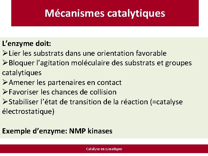 Mécanismes catalytiques L’enzyme doit: ØLier les substrats dans une orientation favorable ØBloquer l’agitation moléculaire