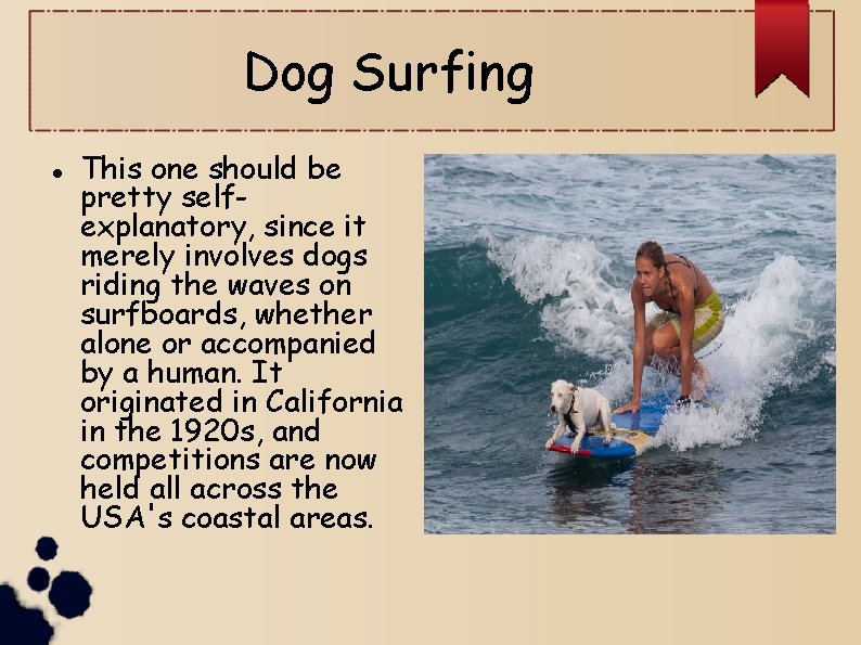 Dog Surfing This one should be pretty selfexplanatory, since it merely involves dogs riding