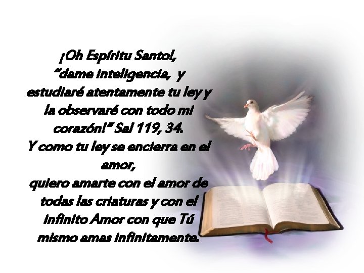 ¡Oh Espíritu Santo!, “dame inteligencia, y estudiaré atentamente tu ley y la observaré con