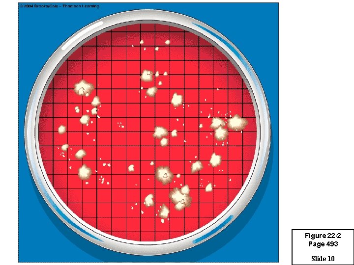 Figure 22 -2 Page 493 Slide 10 
