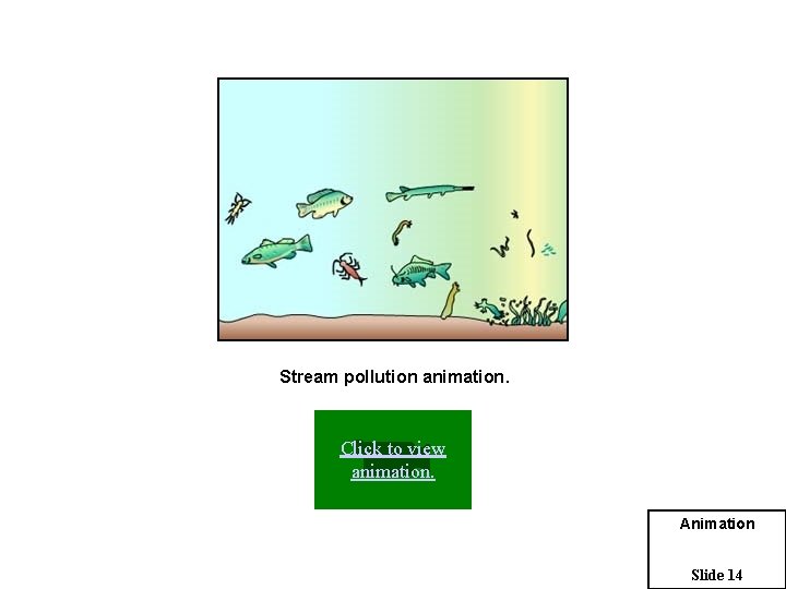 Stream pollution animation. Click to view animation. Animation Slide 14 