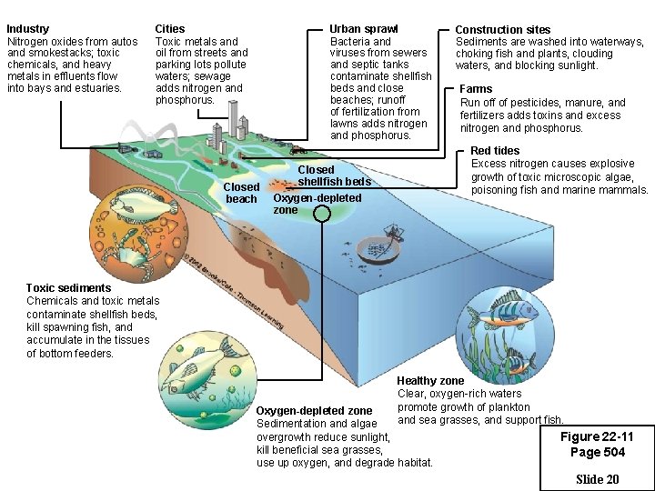 Industry Nitrogen oxides from autos and smokestacks; toxic chemicals, and heavy metals in effluents