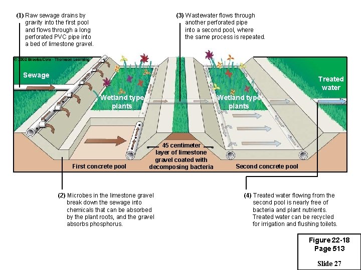 (1) Raw sewage drains by gravity into the first pool and flows through a